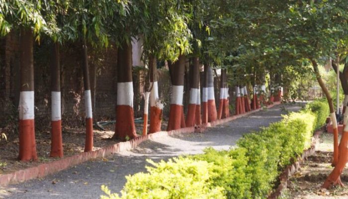 Jogging-Track-facility-ambassador-ajanta-aurangabad-768x480